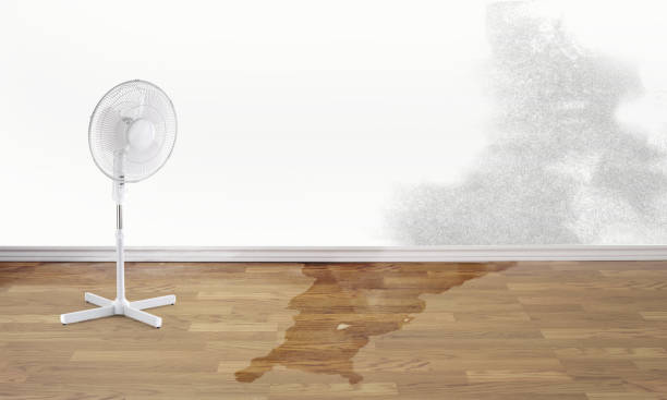 Best Water damage restoration near me  in Mendota Heights, MN