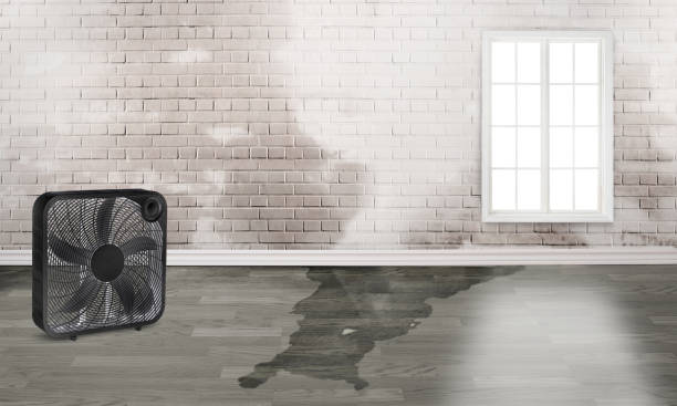 Best Water damage restoration company  in Mendota Heights, MN