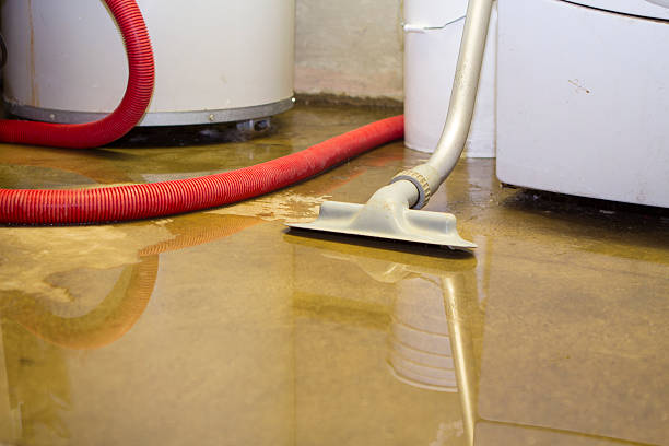 Best Water damage restoration specialists  in Mendota Heights, MN