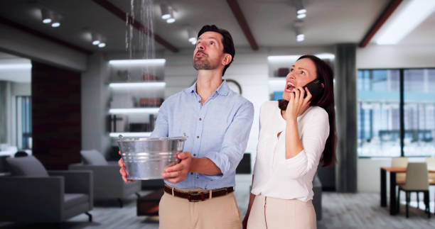 Best Mold removal after water damage  in Mendota Heights, MN