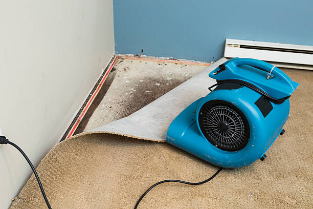Best Flood restoration services  in Mendota Heights, MN